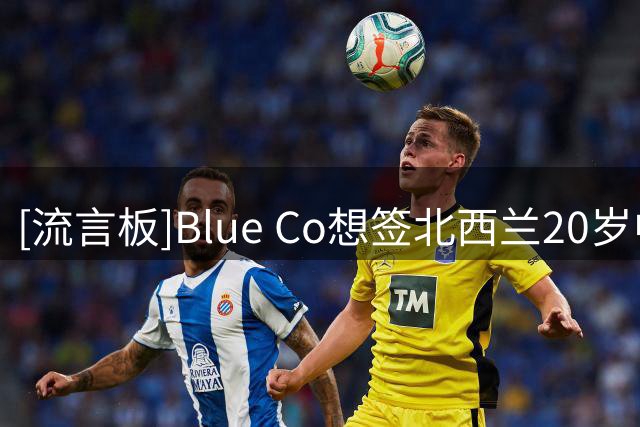 [流言板]Blue Co想签北西兰20岁中场伊伦基，先白堡再考虑提干切尔西
